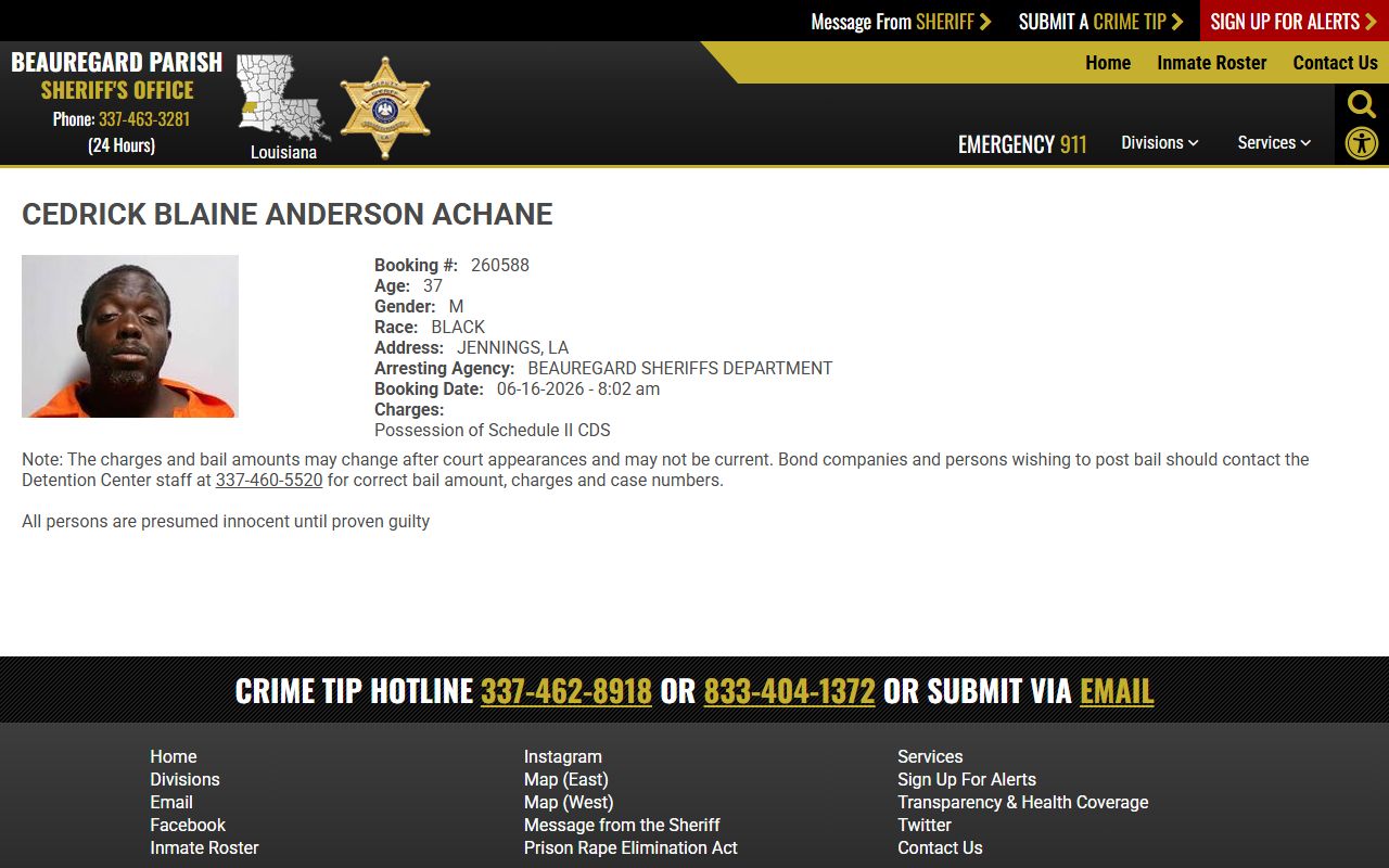 Beauregard Parish inmate records sample roster profile with booking photo and charge fields